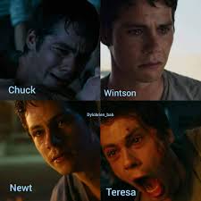He Was Crying For Chuck Bc They Were Close It Was The Way That Winston Died And The Realization Of How Th Maze Runner Funny Maze Runner Movie Newt Maze Runner