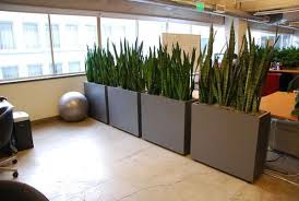 40 Creative And Fresh Office Plant Decoration Ideas Office Dividers Office Partition Decorative Room Dividers