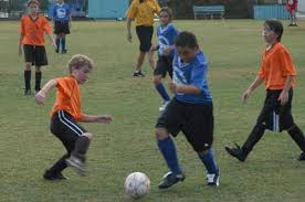 Anna Maria Island News