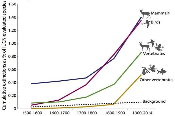 Are We in The Sixth Mass Extinction? | Earth.Org