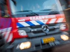 De opsporing van criminelen is de afgelopen jaren steeds verder verminderd. Slachtoffer Serie Aanrander In Alkmaar Doet Verhaal In Opsporing Verzocht Noord Holland Ad Nl