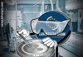 Xrp to hit 1000 dollars: 21 3 Of Xrp Holders Think It Will Reach 1 000 In The Future