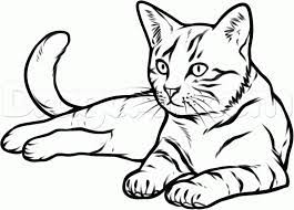 Draw nose in between the eyes, 2 ears above the head and below the nose mouth. Cat Drawing Google Search Animal Drawings Cat Drawing Drawings