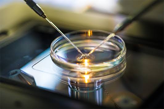 Low Cost IVF Treatment in India