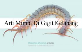 We did not find results for: 13 Arti Mimpi Di Gigit Kelabang Menurut Islam Dan Primbon Jawa