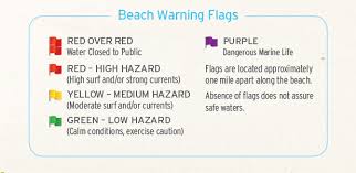 Yellow flag at beach meaning. Beach Safety In Panama City Beach Things To Do