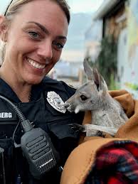 Lincoln Police Department