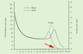 When Do You Stop Growing How To Grow Taller Increase Height Growing