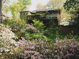 Features include ipe wood deck, river rock details, led lighting in the pool, limestone decks, water feature wall with custom bobe water scuppers and more! Hillside Landscaping Ideas Hgtv