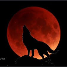 January's full wolf moon reaches peak illumination on thursday, january 28, at 2:18 p.m. Wolf Moon Revival S Stream
