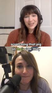 Each year, The Humane Society of the United States celebrates National  Animal Shelter Appreciation Week during the first full week of Nov...