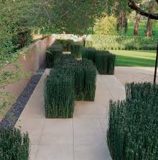 Brookvale Residence Garden Architecture Architectural Plants Modern Landscaping