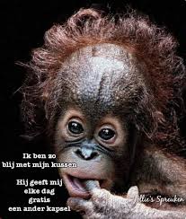 Pin Op Grappige Plaatjes