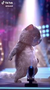 Monday Morning Quotes Discover Hoy Mi Dia De Pico Y Placa Y El Cuerpo Lo Sabe Cool Cartoons Good Morning Animation Funny Animal Videos