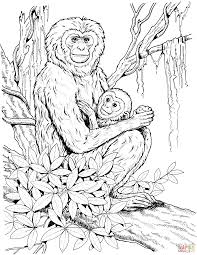 The term 'ape' is for a group of animals of monkey family. Apes Coloring Pages Free Coloring Pages Coloring Home