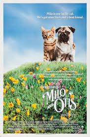 We cant wait to kick of 2020 with even more cat rescues! The Adventures Of Milo And Otis 1986 Imdb