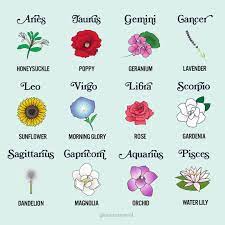 Flowers For Spring Zodiac Signs Scorpio Zodiac Flowers Zodiac Flower