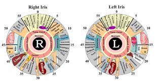 10 conditions that iridology can detect better living