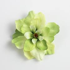See descriptions, pictures & gardening info. Ready To Ship Light Green Flower Hair Clip Small Hair Clip Etsy