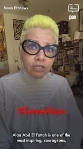 Alaa Abd El Fattah has been