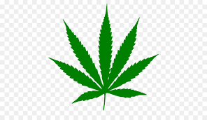 Gratis ganja, ganja smoking, ganja medis, kartun, merokok, hash minyak, zat keracunan, bong, reptar. Wow 16 Gambar Daun Ganjah Png