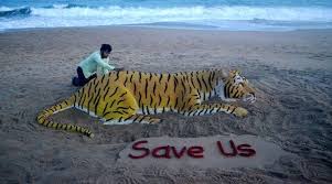 The goal of the day is to promote a global system for protecting the natural habitats of tigers and to raise public awareness and support for tiger conservation issues. International Tiger Day How Can We Keep The Tiger Burning Bright The Indian Express