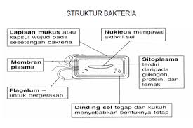 Pemuliharaan pemuliharaan bermaksud usaha memulihkan dan memelihara sumber alam semula jadi dengan bijak dan sistematik supaya dapat dinikmati oleh generasi akan datang. Download Sains Spm Tingkatan 5 Free For Android Sains Spm Tingkatan 5 Apk Download Steprimo Com