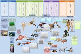 Esquema Eras Geologicas Origen De La Tierra Mapa Conceptual Tecnicas De Ensenanza