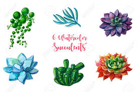 Download Watercolor Illustrations Succulents Clipart All Elements Are Stock Photo Picture And Royalty Free Image Image 87783431