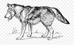 We have wolf coloring pages for adults, kids and preschoolers. Wolf Coloring Pages Wolf 2 Printable Coloring4free Wolf Clip Art Black And White Emoji Wolf Face Emoji Free Transparent Emoji Emojipng Com