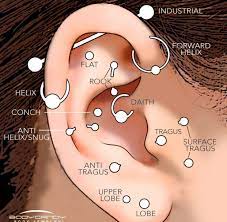 Pin By Adiel Laisson Ferreira On Tattoos Piercings Types Of Ear Piercings Cool Ear Piercings Different Ear Piercings