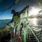 Clovelly Herring Festival event image
