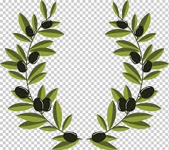Traer la belleza de la temporada de otoño en su casa, justo a tiempo de acción de gracias con esta caída hojas. Ilustracion De Hoja Verde Rama De Olivo Corona De Olivo Decoracion De Rama De Olivo Hoja Rama De Arbol Aceituna Png Klipartz