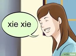 Then this app, translate malaya to chinese app is a solution for your problems. 3 Ways To Say Thank You In Chinese Wikihow