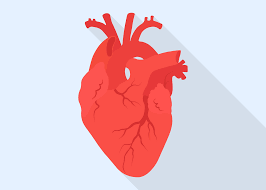 The results of a study published in jama internal medicine shows habitual coffee intake is actually linked to a lower risk of cardiac arrhythmia. Home Remedies For Heart Palpitations Get Your Heart Back On Beat