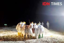 11.948 orang positif, sembuh 10.974 pasien, dan meninggal 387 orang. Data Lengkap Covid 19 Di Indonesia Per Rabu 27 Januari 2021