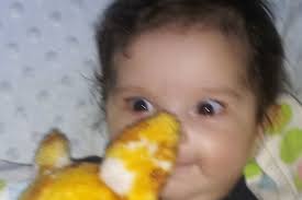 Fundraiser by Stephanie Baldwin : Lucy's memorial