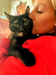 Tortoise shell cat owners share their love and experiences