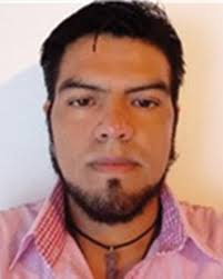 Organic dyes supported