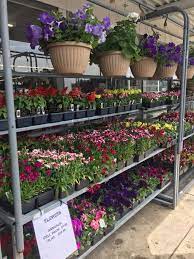 Check spelling or type a new query. Baskets And Annuals And Dundee Ace Hardware Facebook