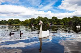 It is the largest of four royal parks that form a chain from the entrance of kensington palace through kensington gardens and hyde park. Hyde Park In London Infos Tipps 2021 Travelguide De