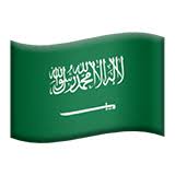 They have become a huge part of our communication nowadays, and are very efficient in adding actual emotion to what we type. Flag Saudi Arabia Emoji Meaning Copy Paste