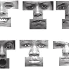 Anantha Krishnan Raman FESABAS