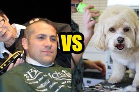 What S The Difference Between Dog Clippers Vs Human Clippers Dog Clippers Dogs Dog Care