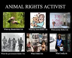 Animal Rights Activist Animal Rights Activist Animal Activism Animal Rights