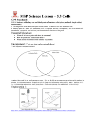In the venn diagram, begin with the character that is common in all groups and place it on the outside. 5 6 Cells Coastal Plains Msp Links