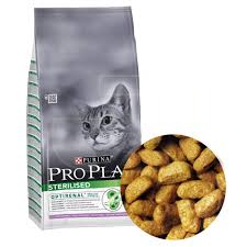 Kedi Bakimi Icin Bilinmesi Gereken Hersey Saglik Beslenme