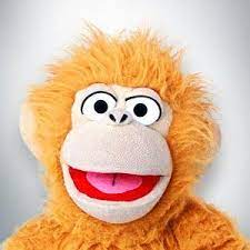 Jeff panacloc et jean marc. 20 Idees De Jeff Panacloc Humoristes Festival Du Rire Patrick Sebastien