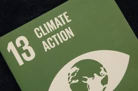 Sustainable development goal 13 (sdg 13 or goal 13) is about climate action and is one of the 17 sustainable development goals established by the united nations in 2015. Sdg 13 Climate Action Lead Unfccc Sb2021 10june21 Photo Iisd Earth Negotiations Bulletin