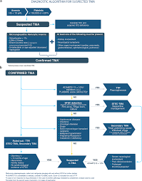 Image result for Plasmic Score